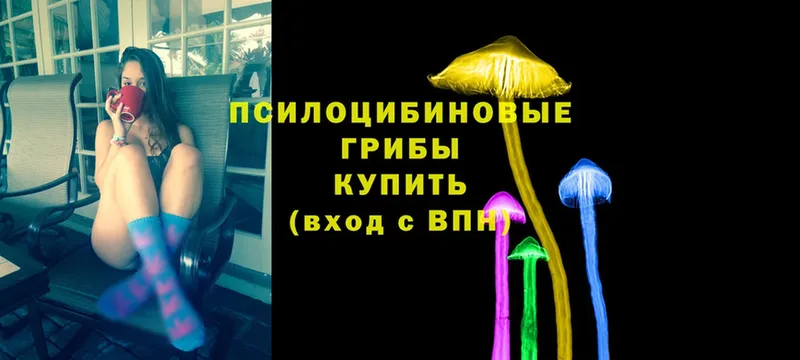 Галлюциногенные грибы Psilocybine cubensis  где купить наркоту  Кемь 